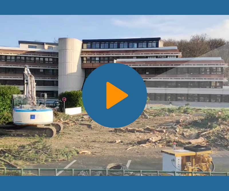 Des arbres coupés pour le nouveau supermarché à Avon