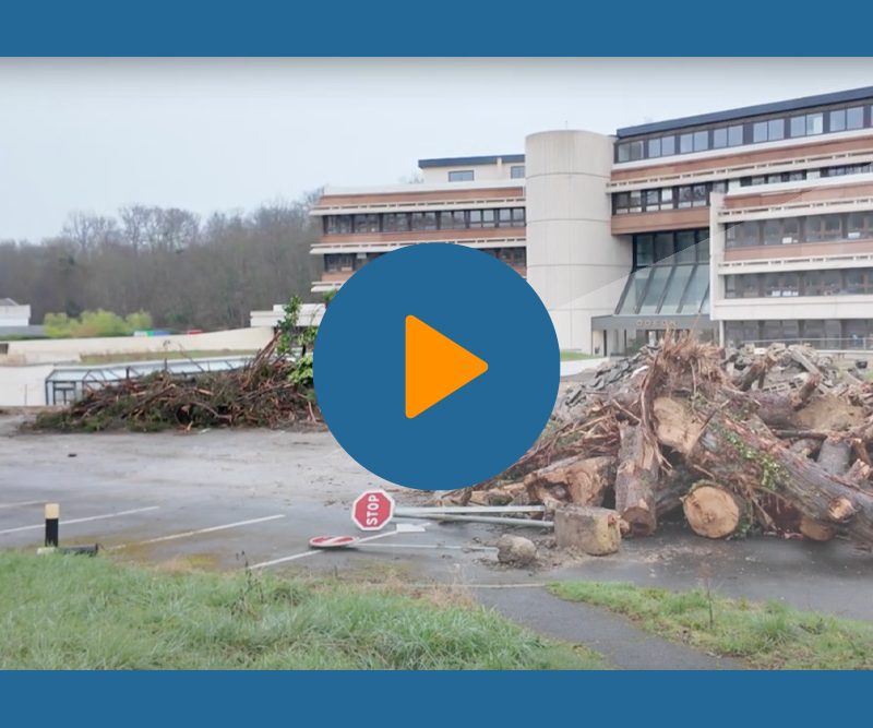 L’incroyable abattage en série d’arbres remarquables dans un parc arboré d’Avon. Autrefois protégés par le PLU, ils venaient d’être déclassés…