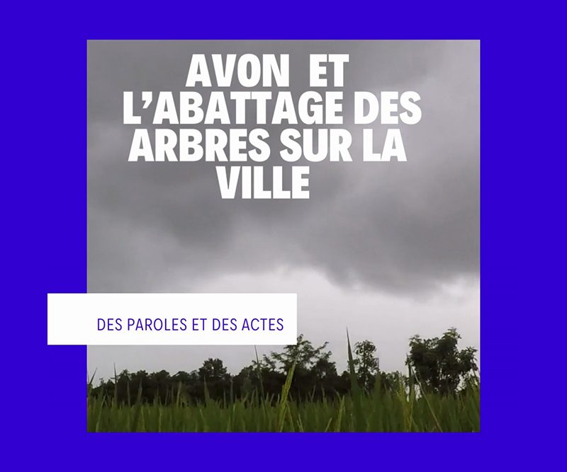 Avon l’abattage des arbres sur la ville